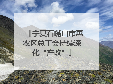 宁夏石嘴山市惠农区总工会持续深化“产改”