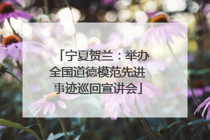 宁夏贺兰：举办全国道德模范先进事迹巡回宣讲会