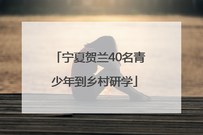 宁夏贺兰40名青少年到乡村研学