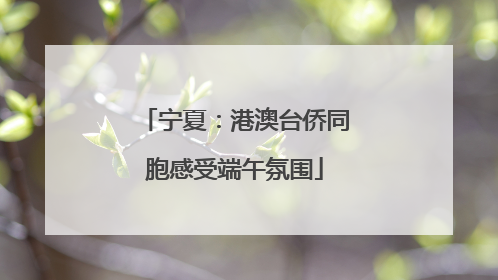 宁夏：港澳台侨同胞感受端午氛围