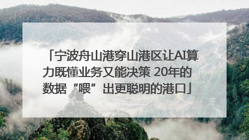 宁波舟山港穿山港区让AI算力既懂业务又能决策 20年的数据“喂”出更聪明的港口
