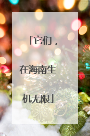 它们，在海南生机无限