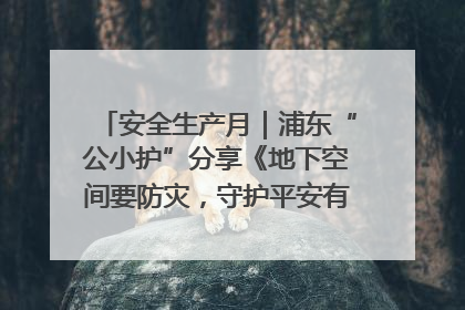 安全生产月｜浦东“公小护”分享《地下空间要防灾，守护平安有我在》安全谣