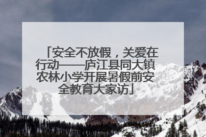 安全不放假，关爱在行动——庐江县同大镇农林小学开展暑假前安全教育大家访