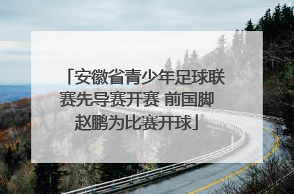 安徽省青少年足球联赛先导赛开赛 前国脚赵鹏为比赛开球