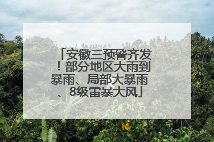 安徽三预警齐发！部分地区大雨到暴雨、局部大暴雨、8级雷暴大风