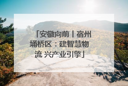 安徽向前丨宿州埇桥区：建智慧物流 兴产业引擎