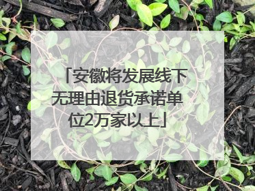 安徽将发展线下无理由退货承诺单位2万家以上