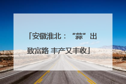 安徽淮北：“蒜”出致富路 丰产又丰收