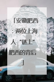 安徽肥西：两位上海人“链上”肥西的背后