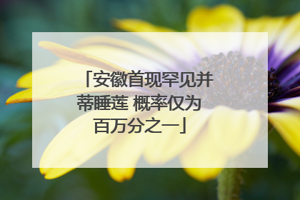 安徽首现罕见并蒂睡莲 概率仅为百万分之一