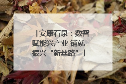安康石泉：数智赋能兴产业 铺就振兴“新丝路”