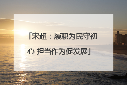 宋超：履职为民守初心 担当作为促发展