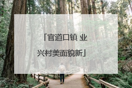 官道口镇 业兴村美面貌新
