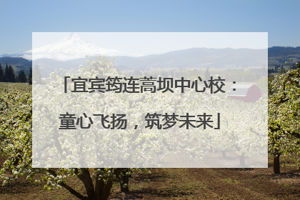 宜宾筠连蒿坝中心校：童心飞扬，筑梦未来