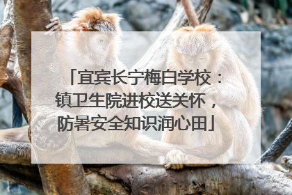宜宾长宁梅白学校：镇卫生院进校送关怀，防暑安全知识润心田