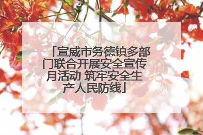 宣威市务德镇多部门联合开展安全宣传月活动 筑牢安全生产人民防线