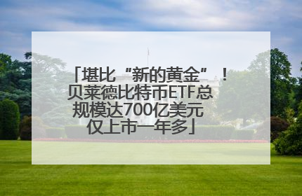 堪比“新的黄金”！贝莱德比特币ETF总规模达700亿美元 仅上市一年多