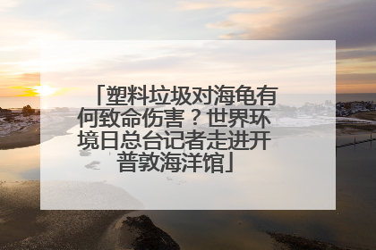 塑料垃圾对海龟有何致命伤害？世界环境日总台记者走进开普敦海洋馆