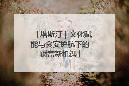 塔斯汀｜文化赋能与食安护航下的财富新机遇