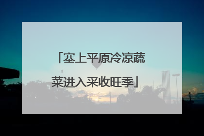 塞上平原冷凉蔬菜进入采收旺季