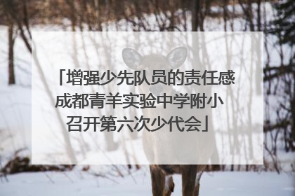 增强少先队员的责任感 成都青羊实验中学附小召开第六次少代会