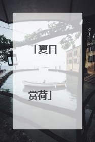 夏日赏荷