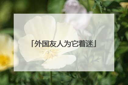 外国友人为它着迷