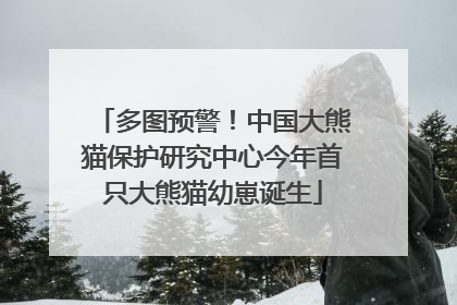 多图预警！中国大熊猫保护研究中心今年首只大熊猫幼崽诞生