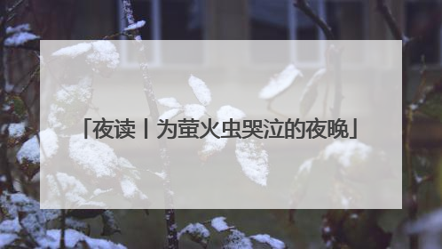 夜读丨为萤火虫哭泣的夜晚