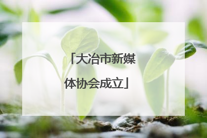 大冶市新媒体协会成立