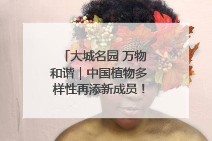 大城名园 万物和谐｜中国植物多样性再添新成员！它只在西藏墨脱