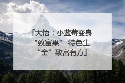 大悟：小蓝莓变身“致富果” 特色生“金”致富有方