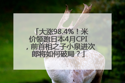 大涨98.4%！米价领跑日本4月CPI，前首相之子小泉进次郎将如何破局？
