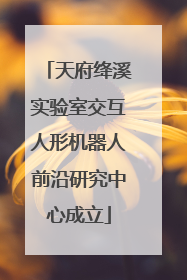 天府绛溪实验室交互人形机器人前沿研究中心成立