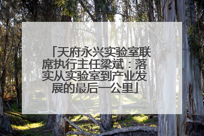 天府永兴实验室联席执行主任梁斌：落实从实验室到产业发展的最后一公里