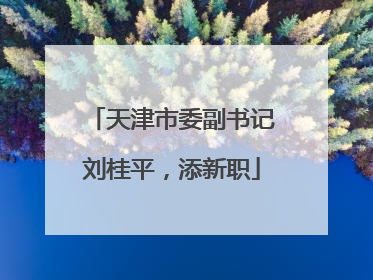 天津市委副书记刘桂平，添新职