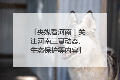 央媒看河南｜关注河南三夏动态、生态保护等内容