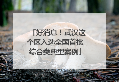 好消息！武汉这个区入选全国首批综合类典型案例