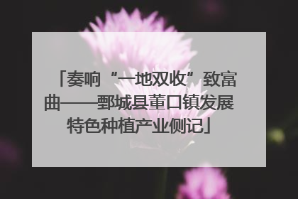 奏响“一地双收”致富曲——鄄城县董口镇发展特色种植产业侧记