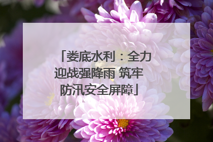 娄底水利：全力迎战强降雨 筑牢防汛安全屏障
