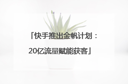 快手推出金帆计划：20亿流量赋能获客