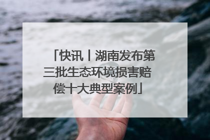 快讯丨湖南发布第三批生态环境损害赔偿十大典型案例