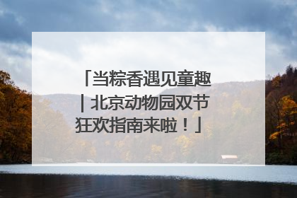 当粽香遇见童趣｜北京动物园双节狂欢指南来啦！