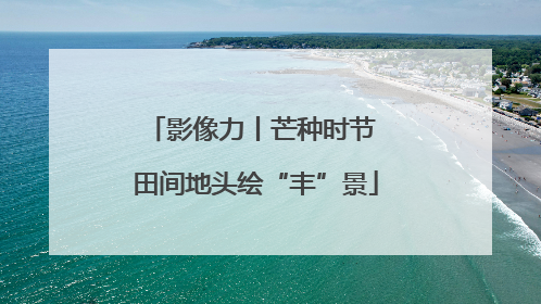 影像力丨芒种时节 田间地头绘“丰”景