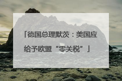 德国总理默茨：美国应给予欧盟“零关税”