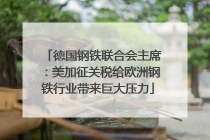 德国钢铁联合会主席：美加征关税给欧洲钢铁行业带来巨大压力