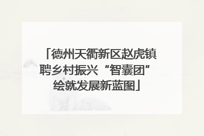 德州天衢新区赵虎镇聘乡村振兴“智囊团” 绘就发展新蓝图
