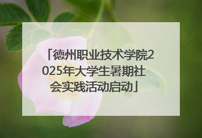 德州职业技术学院2025年大学生暑期社会实践活动启动