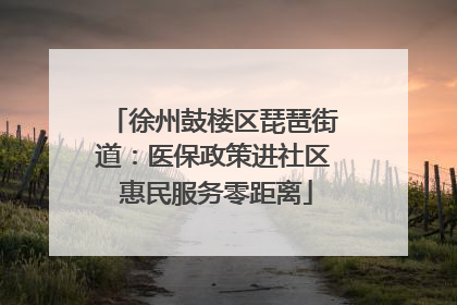 徐州鼓楼区琵琶街道：医保政策进社区 惠民服务零距离